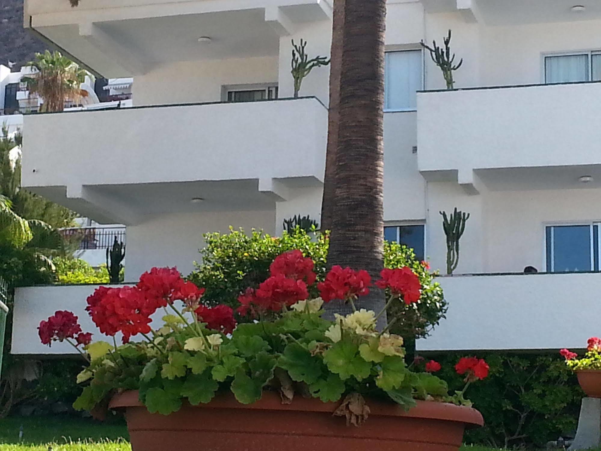 Apartamentos El Sombrero Acantilado de los Gigantes المظهر الخارجي الصورة